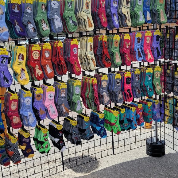 Unisex Canine Foozys Socks - Cavalier King Charles - Picture 2 of 4